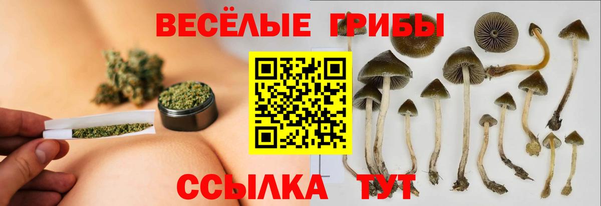Псилоцибиновые грибы прущие грибы Среднеуральск